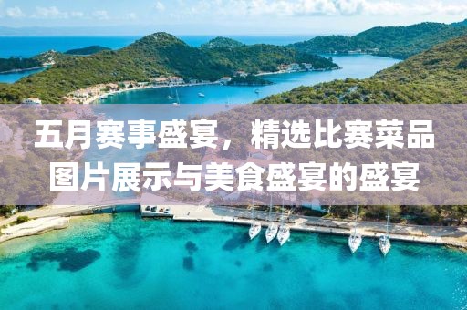 五月賽事盛宴,精選比賽菜品圖片展示與美食盛宴的盛宴